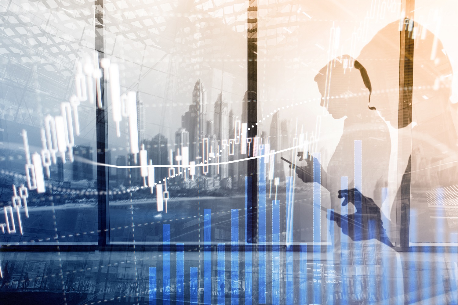 Stock Market Decline-Bear Market-Financial Planner-NAPFA-Fee Only-Jupiter FL